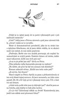 A10110F0017504_utulek-zahad-list4.jpg