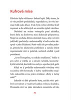 a101e0n0018317_bajecna-trida_list4.jpg