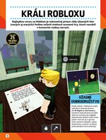 A102M1F0020106_roblox-100%-neoficialna-k