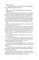 a101f0f0019824_zelezny-plamen-b-list3.jp