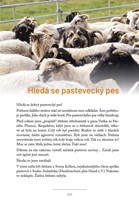 A101E0N0019612_Pastevcovy_list3.jpg