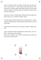 A101E0N0019690_vila-z-cukrenky_list5.jpg