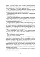 a101f0f0018378_zmizela-list2.jpg