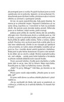 A101V0F0018749_Kuchyn-list1.jpg