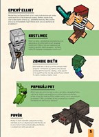 A102M1F0020203_minecraft-kde-je-kostlive