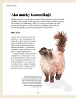b102l1l0002109_co-si-mysli-moja-macka-li