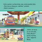 A102M1F0019785_blue-vylet-list4.jpg