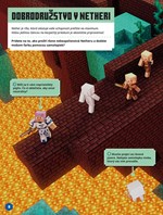 A102M1F0021053_minecraft-dotvorte-postav