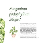 A101A0F0018285_Pokojovky-jako-malovane-l