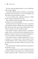 A10130F0018612_dcera-vil-list2.jpg
