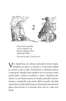A10130F0018612_dcera-vil-list3.jpg