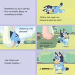 AJ02M1F0019786_bluey-darcekovy-box-knizk