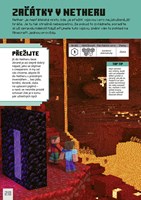 A101M0F0020550_minecraft-vyzvy-k-preziti
