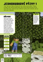 A101M0F0020550_minecraft-vyzvy-k-preziti