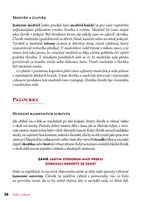 0009372887_KD0326 026.jpg